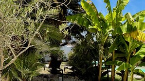 A sunlit outdoor seating area with a curved bench, surrounded by lush greenery and a clear blue sky. - Villa 5 minutes from the sea! Near Royan (Semussac)