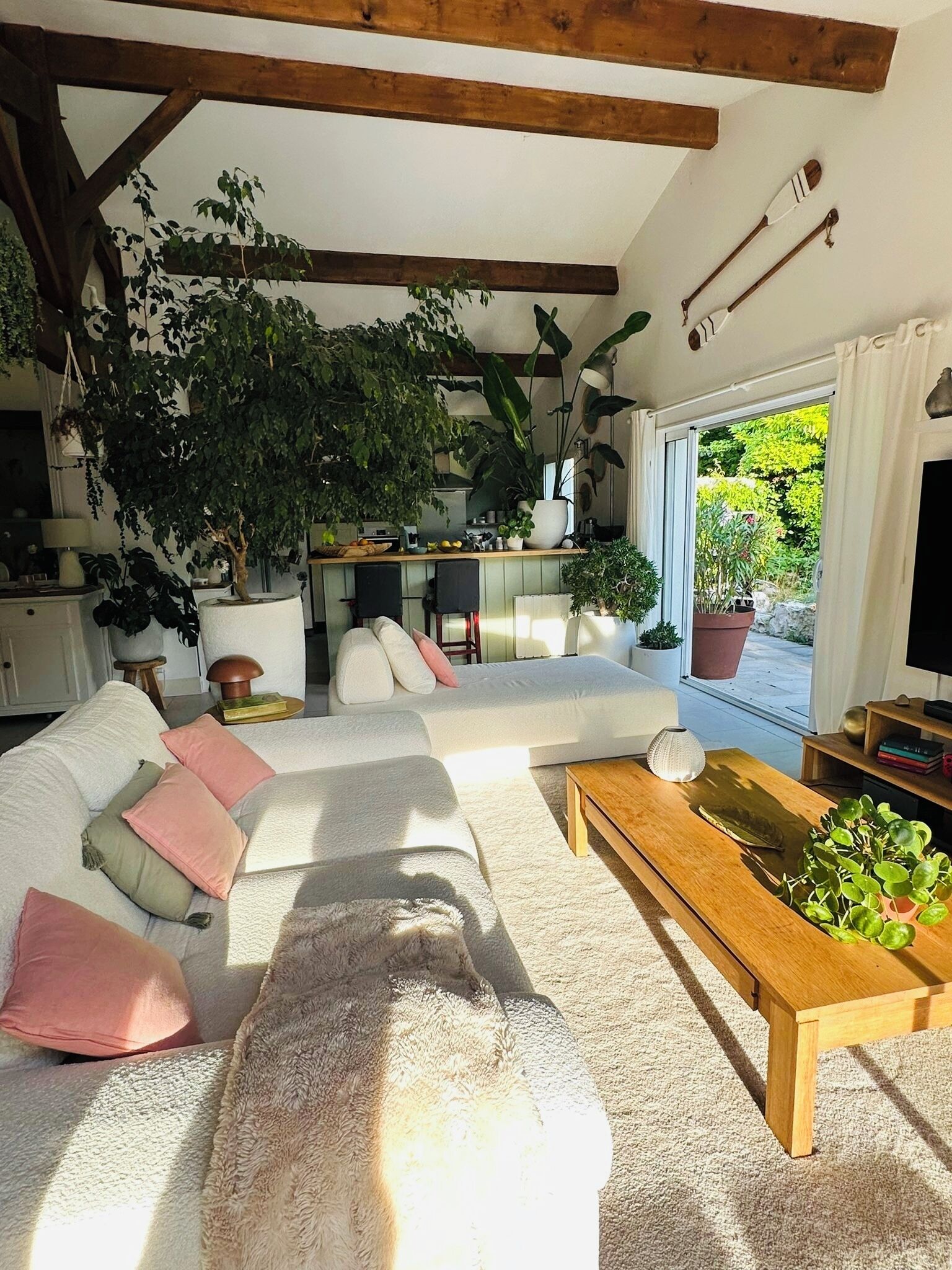 Un salon chaleureux avec un canapé, une table basse et des plantes en pot.
