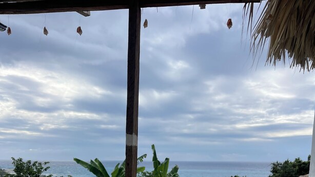 Un espacio al aire libre cubierto con vistas al océano, una piscina y vegetación tropical.