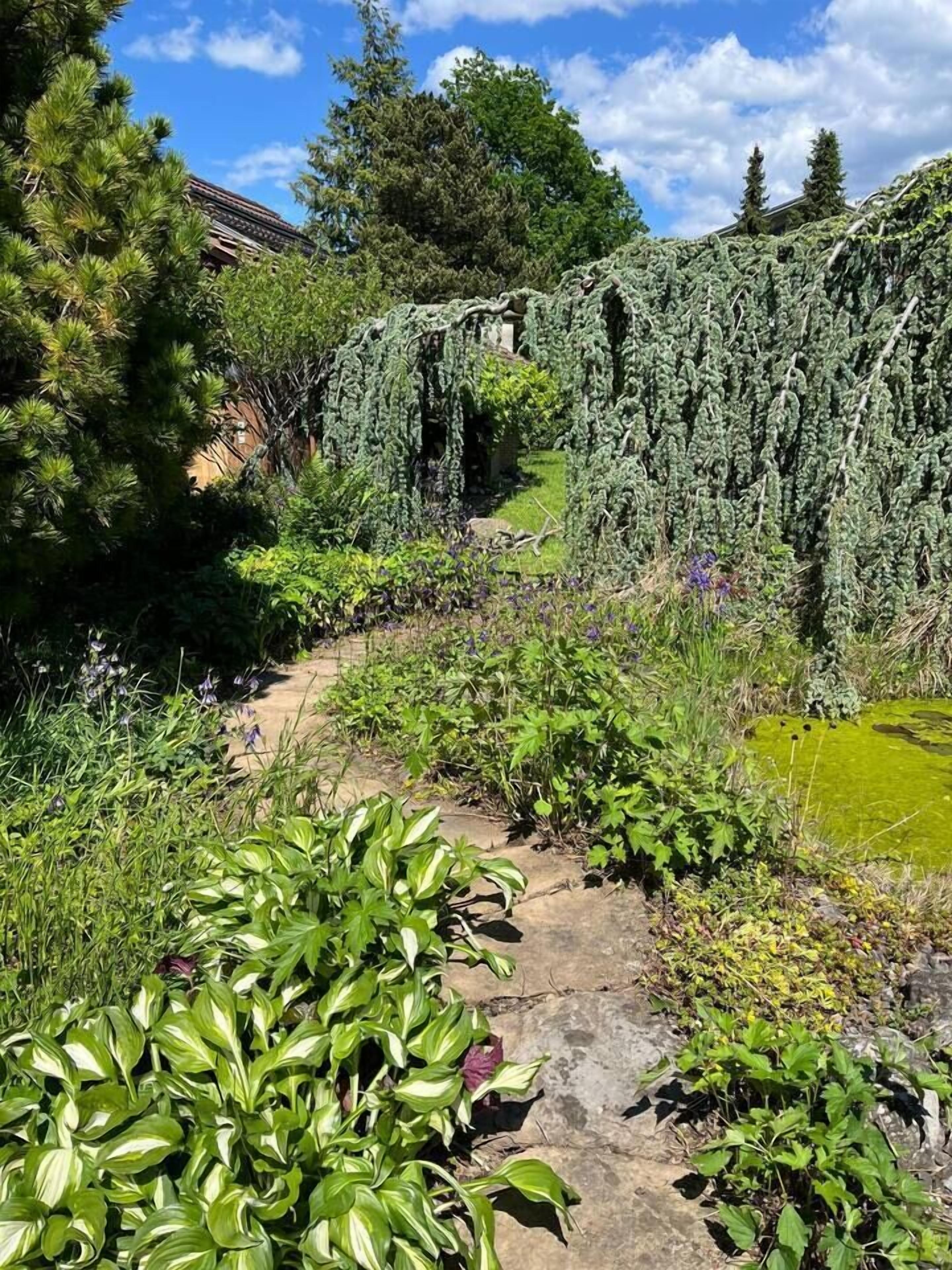 Jardines del alojamiento