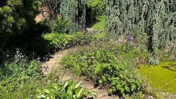 Jardines del alojamiento