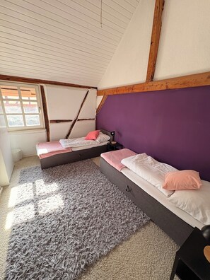 Room - Cozy house with fireplace in quiet Meckenheim. Relaxation guaranteed! (Meckenheim)