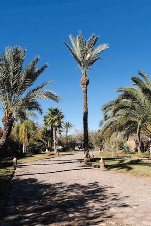 Property grounds - Eden Lodges & Spa-boutique Hotel de Luxe (Marrakech)