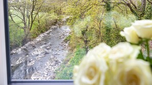 A river with rocks and trees, viewed through a window with white roses in the foreground. - Upper Riverside Mill - Luxury Cottages (Kendal)