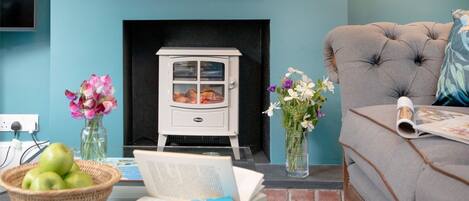 Smart TV, fireplace, books