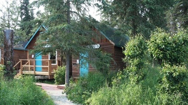 Una cabana de fusta amb un porxo i un camí que hi condueix, envoltada de vegetació densa.