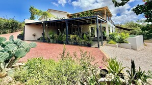 Ein modernes Haus mit überdachter Terrasse, Blumentöpfen und einem Ziegelweg.