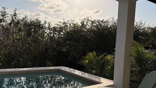 Ein Pool mit Fliesenrand, umgeben von Grünpflanzen, und zwei Adirondack-Stühle unter einem Vordach.