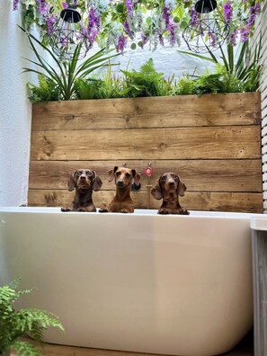 Jardines del alojamiento