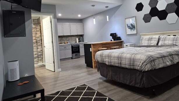 A modern bedroom with a bed, a TV, a kitchen area, and a bathroom visible through an open door. - New Modern Studio in Maryville (Maryville)