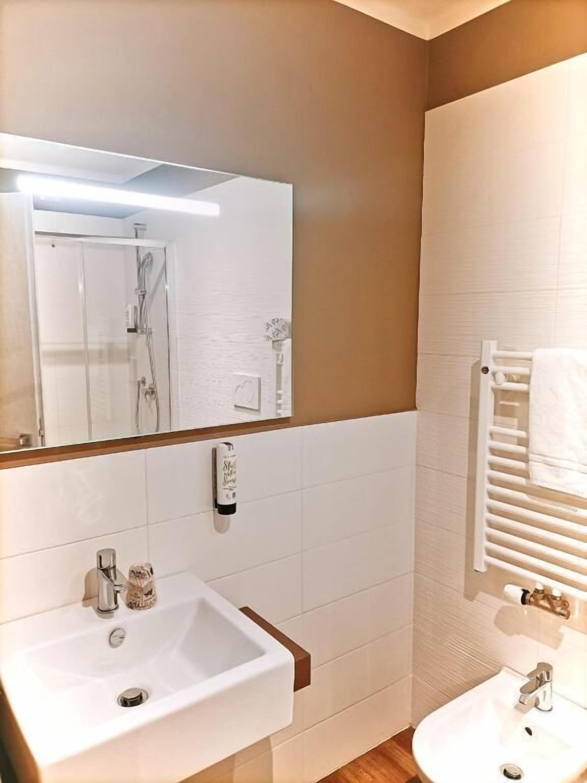 Camera Standard con letto matrimoniale o 2 letti singoli, vista montagna | Bagno | Doccia, asciugacapelli, asciugamani, sapone