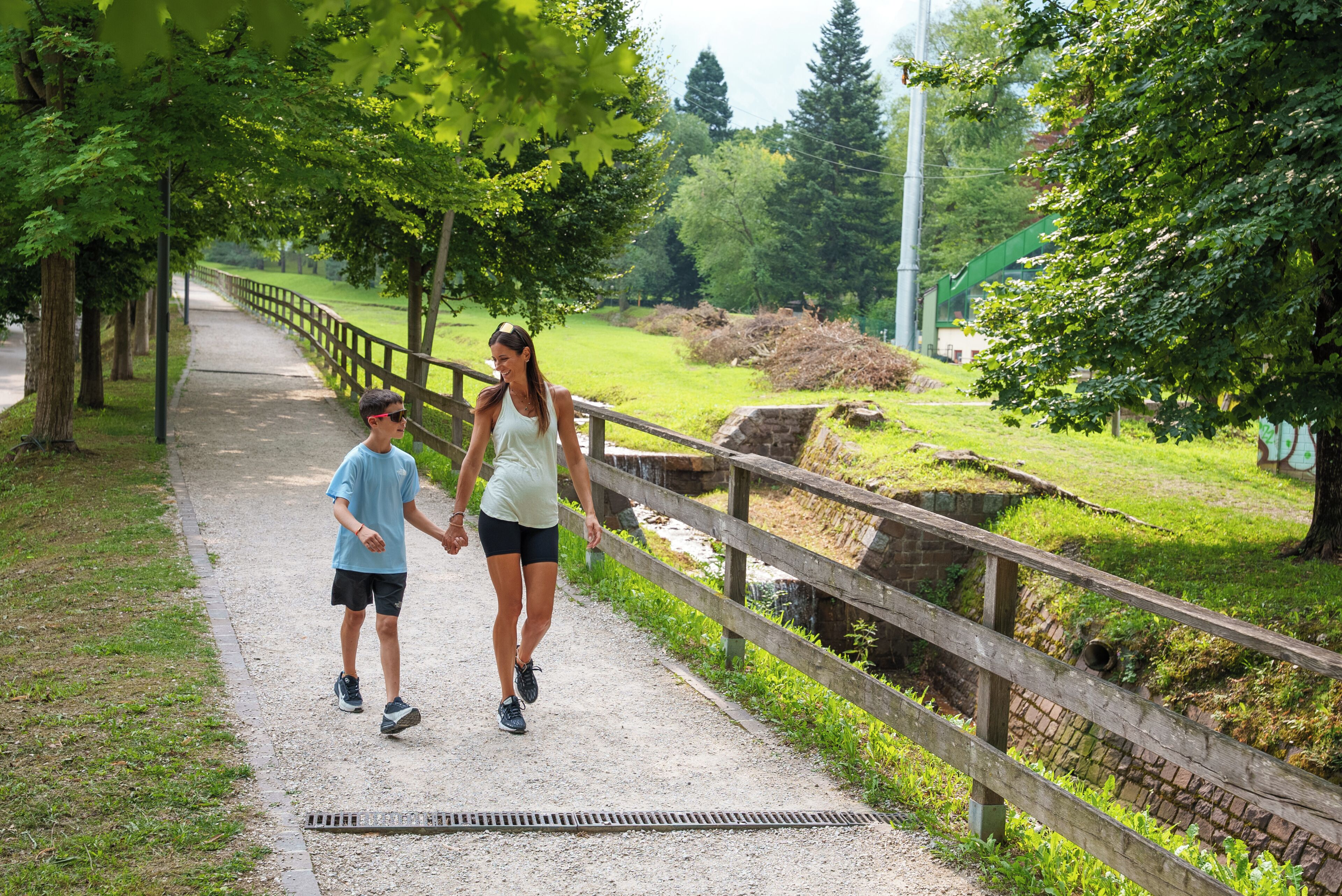 A pathway with a wooden fence, trees, and a grassy area.