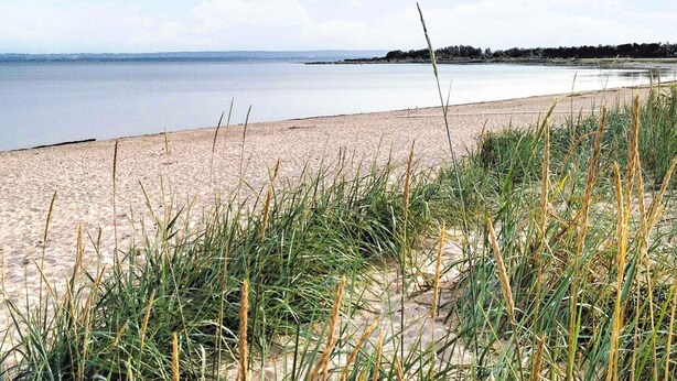 A beach with sand and grass in the foreground, a calm body of water, and a distant shoreline with trees. - 4 Star Holiday Home in Skaret (Nyhamnslage)