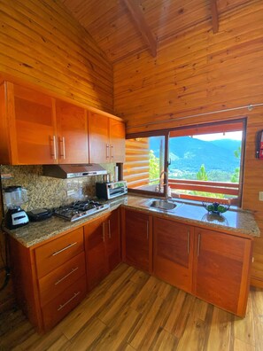 Fridge, oven, coffee/tea maker, toaster