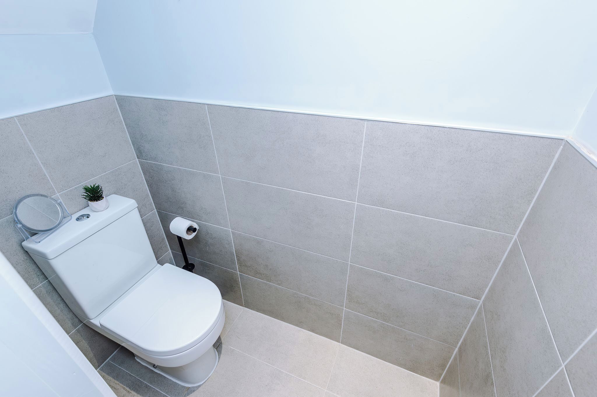 A bathroom with a toilet, a toilet paper holder, and a small potted plant.