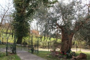 Overnattingsstedets uteområder