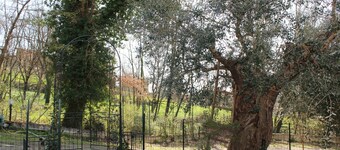 Accommodation surrounded by greenery, silence and privacy, a romantic escape from the city