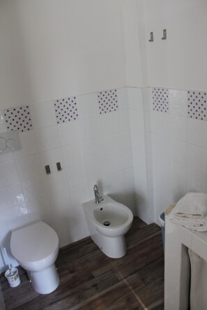 Shower, hair dryer, bidet, towels - Accommodation surrounded by greenery, silence and privacy, a romantic escape from the city (Mozzano Torretta)