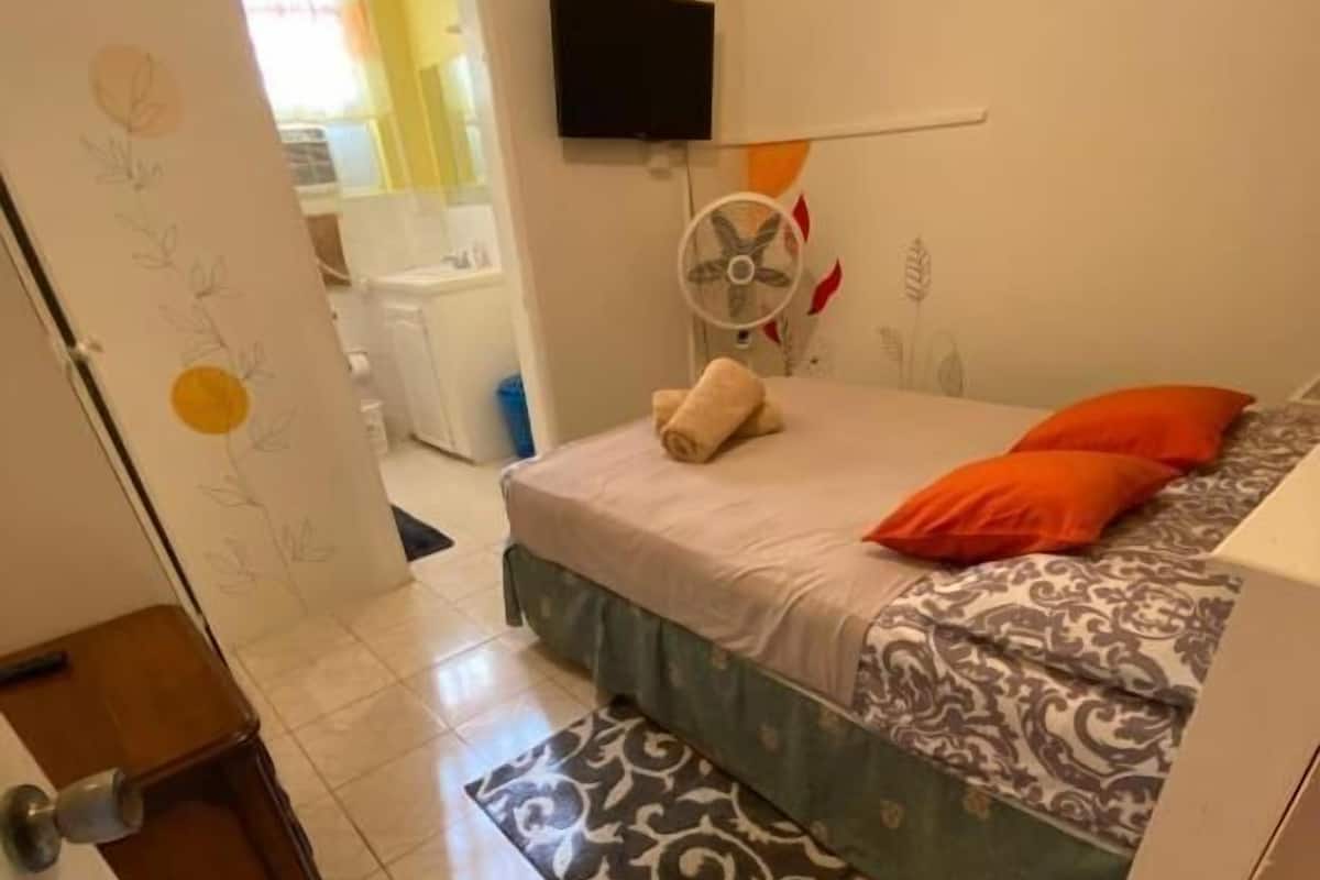 Un dormitorio con cama, televisión, ventilador y una puerta con diseño decorativo.