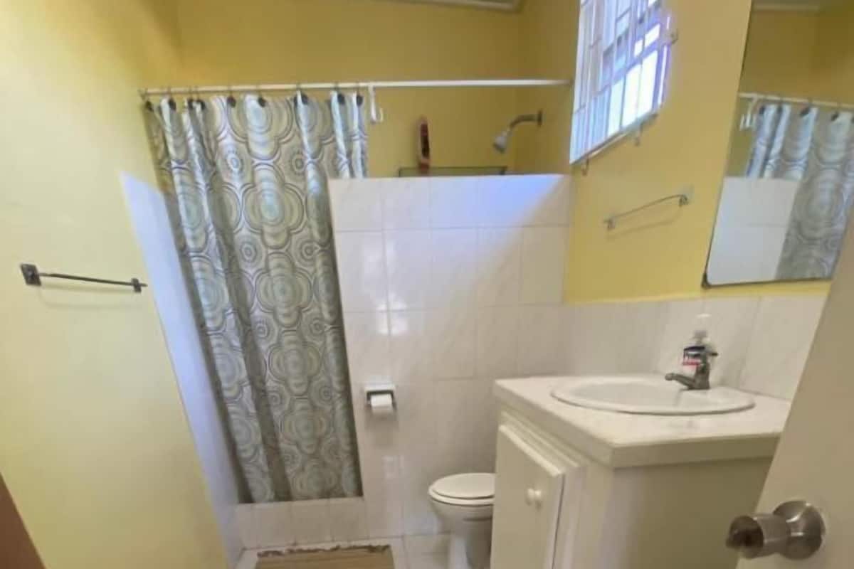 Un baño con inodoro, lavamanos y ducha.