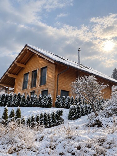 Winter Wonderland near Interlaken • Spa Chalet • AC • Hot Tub by SwissDreamLiving