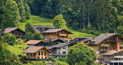 Modern SPA Chalet âą AC âą Alps & Lake View Terrace âą BBQ âą near Interlaken