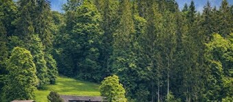 Modern SPA Chalet • AC • Alps & Lake View Terrace • BBQ • near Interlaken