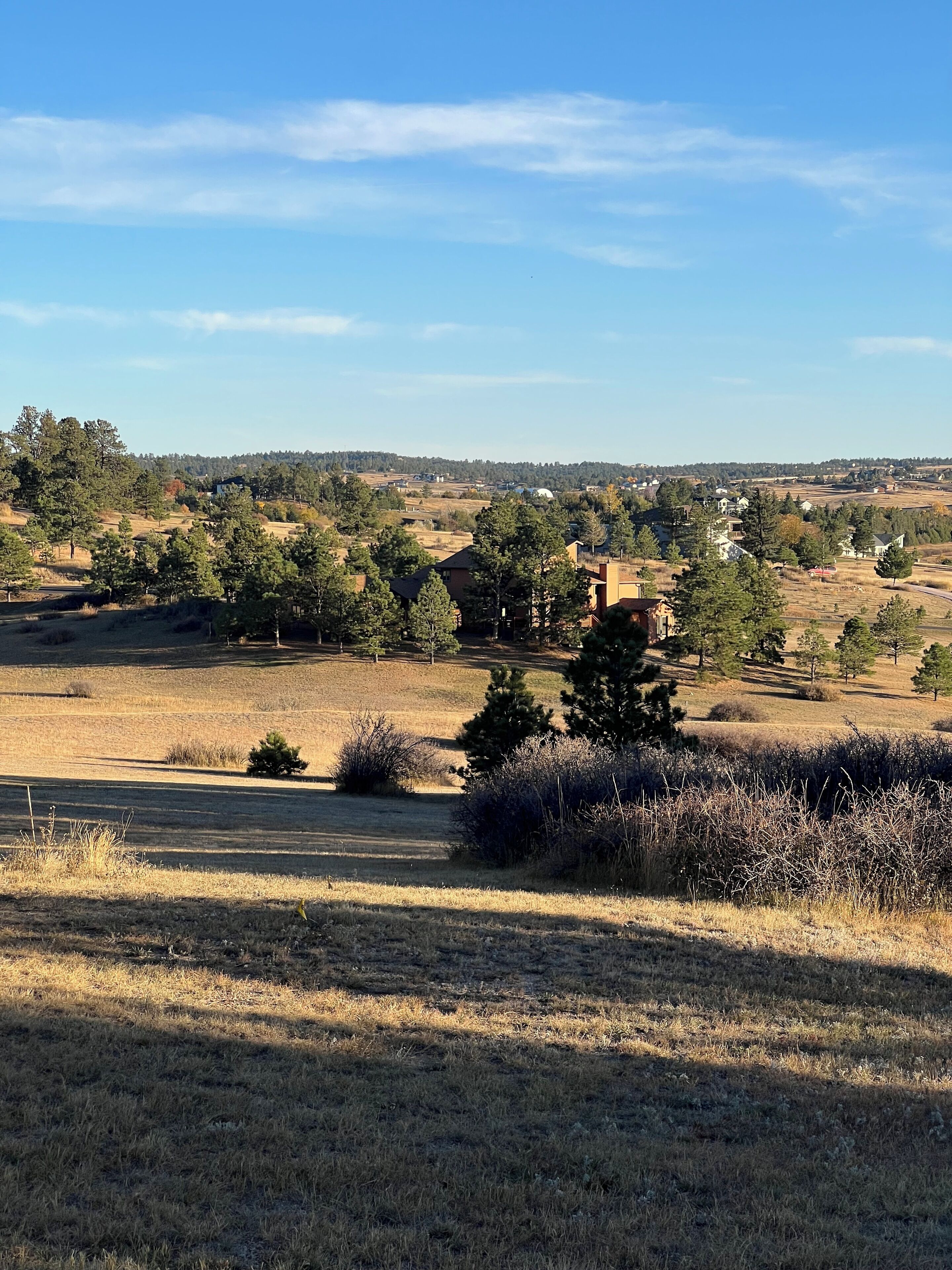 A rural landscape with houses, trees, and open fields.
