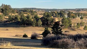 A rural landscape with houses, trees, and open fields.