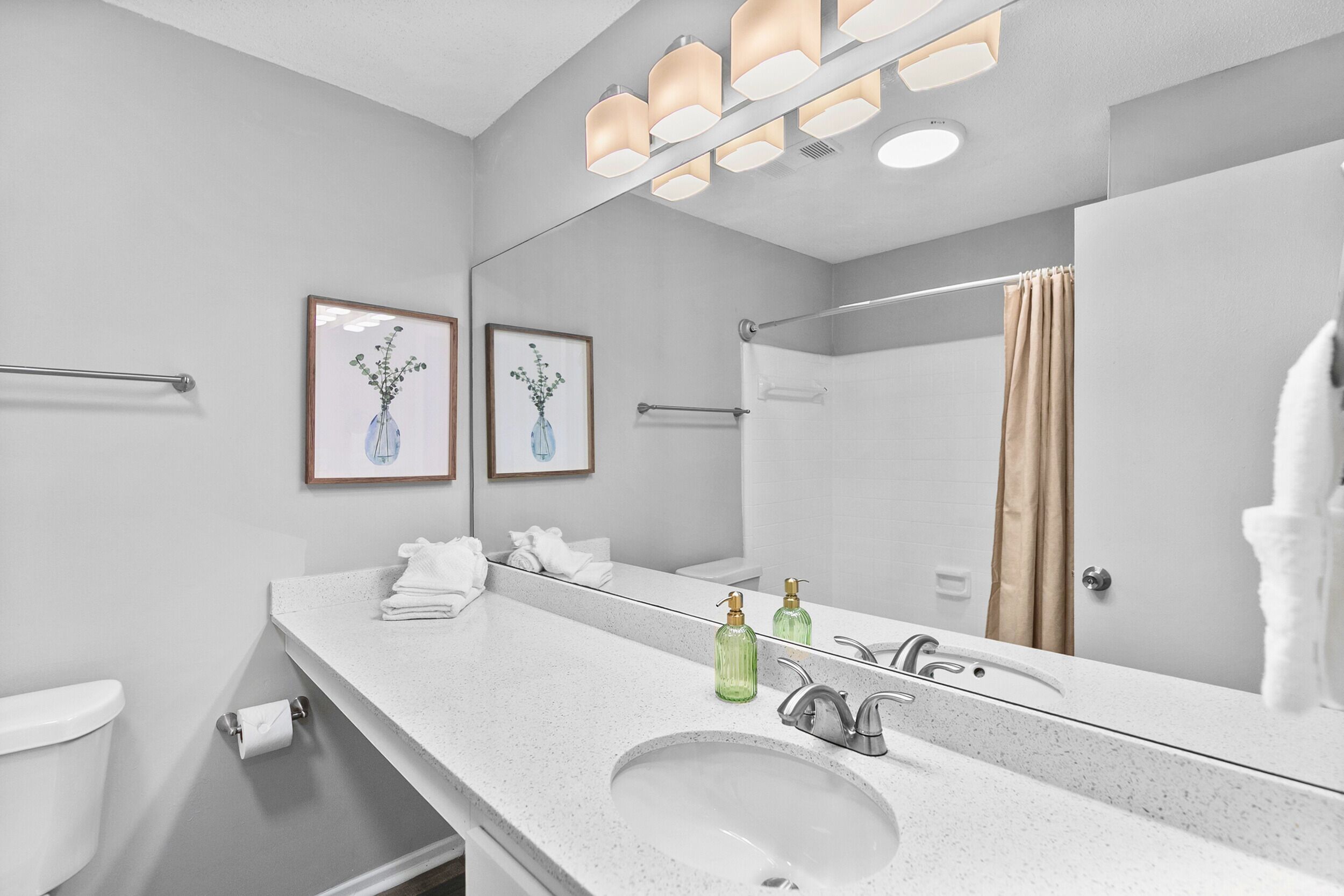 Hair dryer, towels, soap, toilet paper