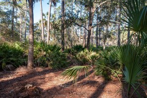Property grounds - Quiet Deer Island Retreat/Walk to Harbour Town (Hilton Head Island)