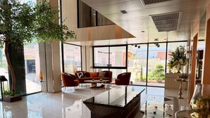 Un lobby moderno con una mesa de centro de vidrio, sofás rojos, un árbol grande y vistas de edificios exteriores.