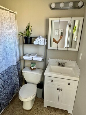 Bathroom - Cozy North St. Pete Pet-Friendly Cottage (St. Petersburg)