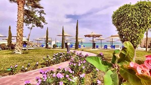 A resort with palm trees, a pathway lined with flowers, and beach umbrellas. - Your perfect Red Sea getaway at Hurghada. (Hurghada)