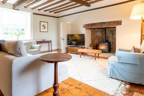 TV connectée, cheminée, livres