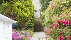 A stone staircase leading up to a door, surrounded by lush greenery and flowering plants. - St Clements Cottage - Free WiFi - Outdoor kitchen and shower - Wood Burner (Mousehole)
