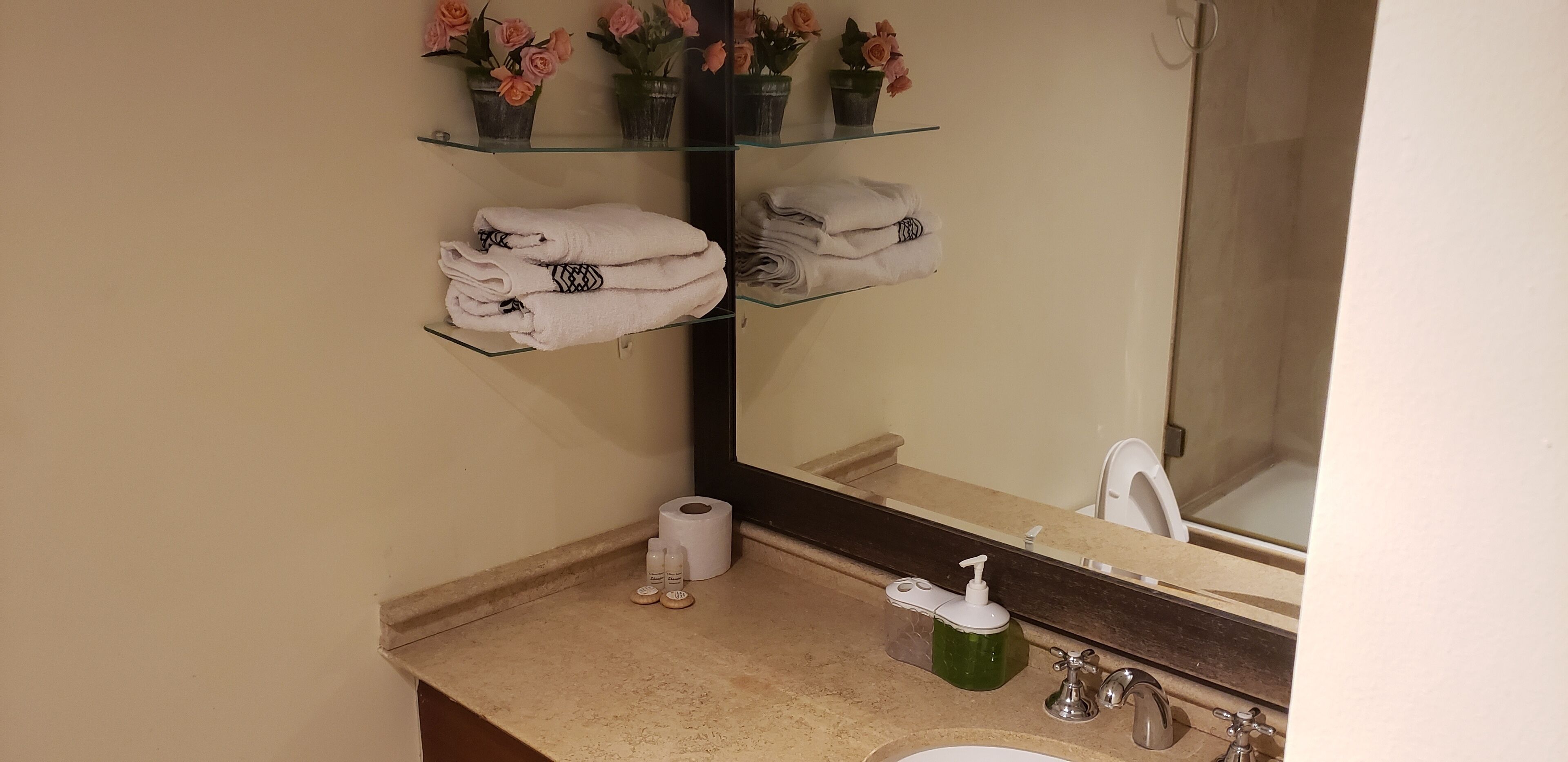 Secador de cabelo, toalhas de banho, papel higiênico 