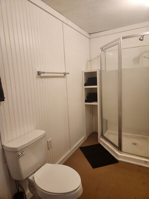 Regadera, toallas, jabón, papel de baño