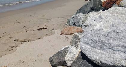 Spacious 6-bedroom Chalet w Pool in pretty Malibu
Up to 12 guests Stay overnight