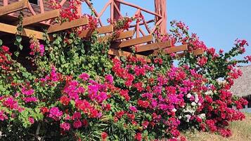 DĂ©tail de lâextĂ©rieur