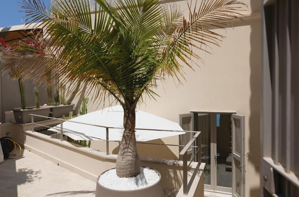 A palm tree in a planter, a white umbrella, and a building with a balcony.