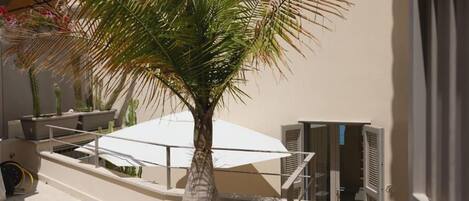 A palm tree in a planter, a white umbrella, and a building with a balcony.