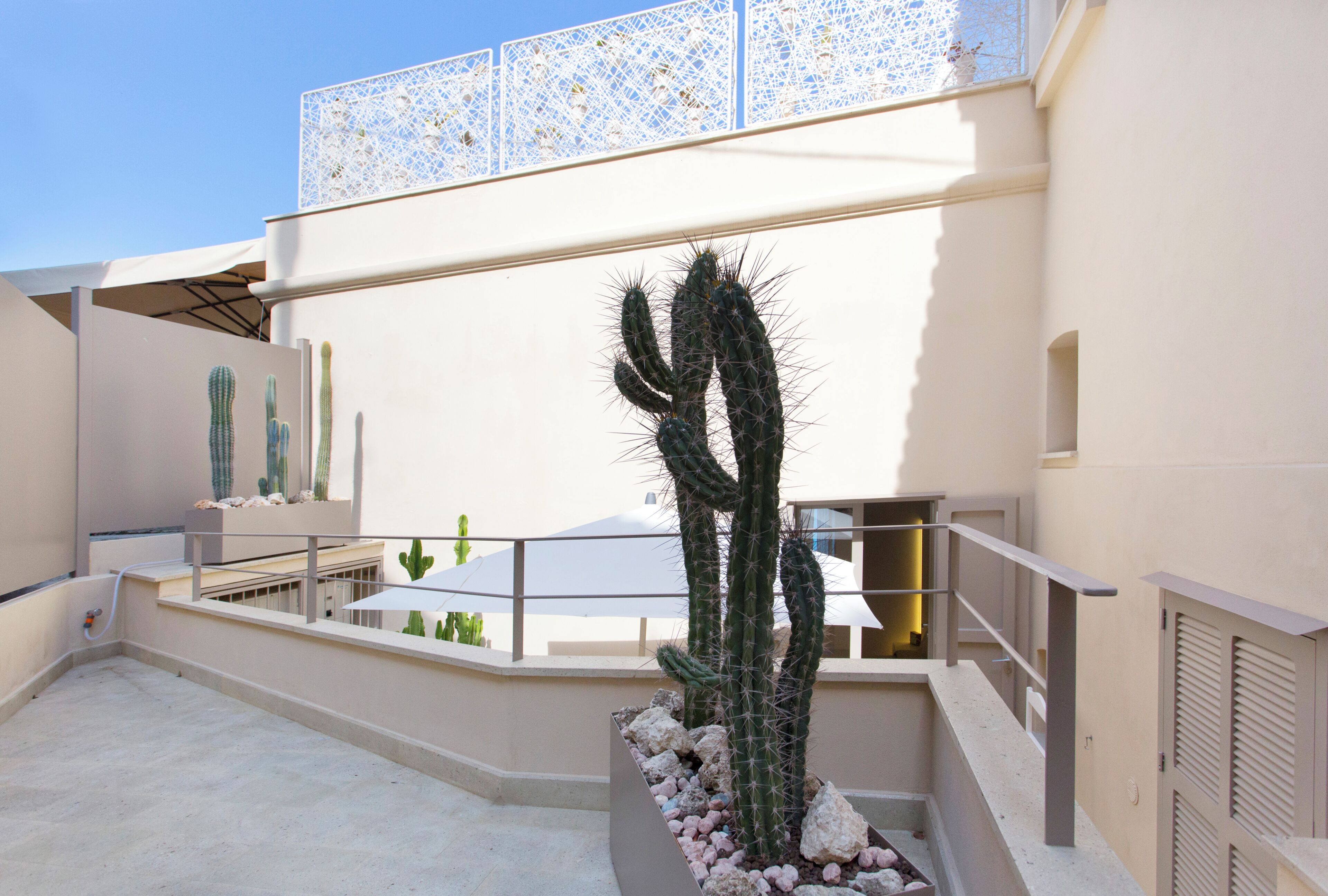 A rooftop terrace with a cactus, a white umbrella, and a railing.