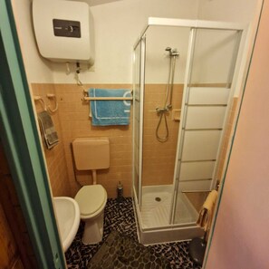Ein Badezimmer mit Toilette, Dusche und Handtuchhalter.