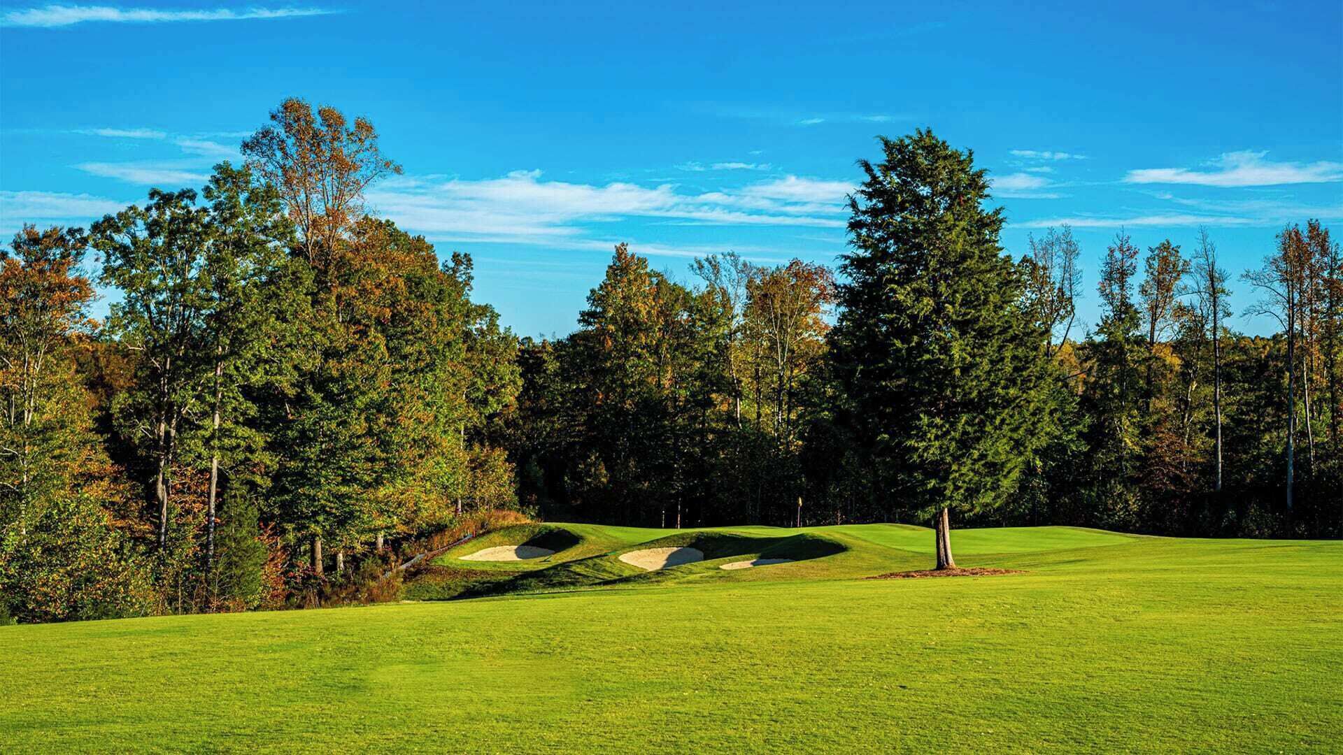A golf course with a clear sky, trees, and a well-maintained lawn.