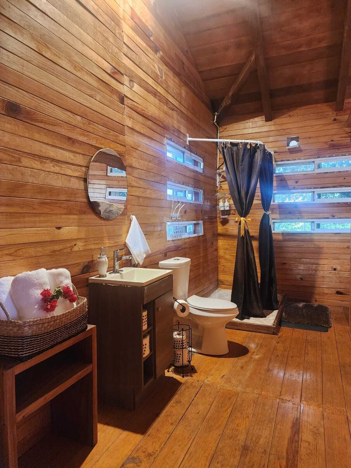 Shower, towels, soap, toilet paper