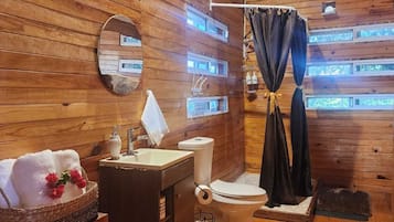 Shower, towels, soap, toilet paper