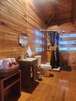 Shower, towels, soap, toilet paper