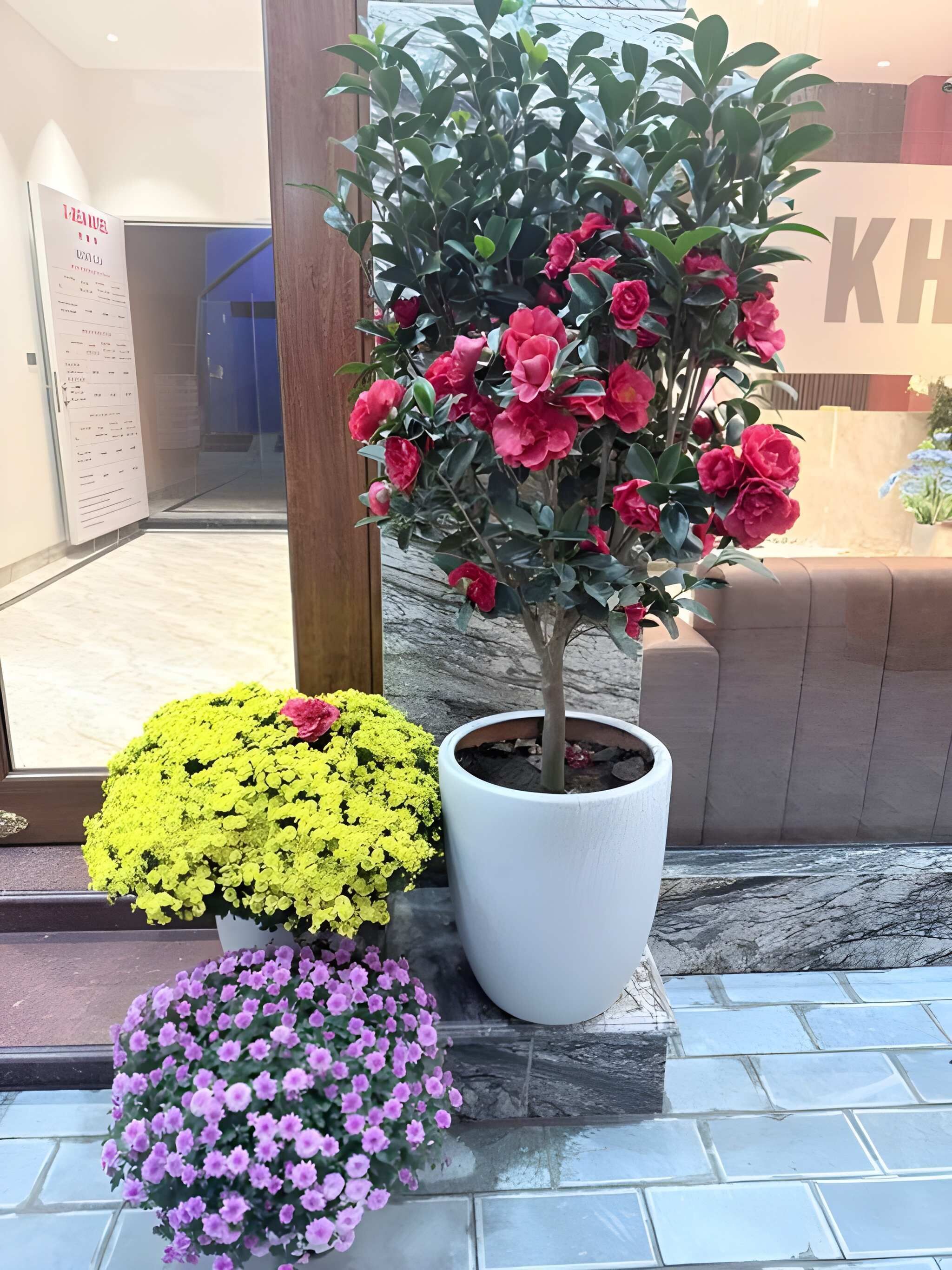 Firemannsrom – premium