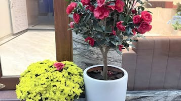 Firemannsrom – premium